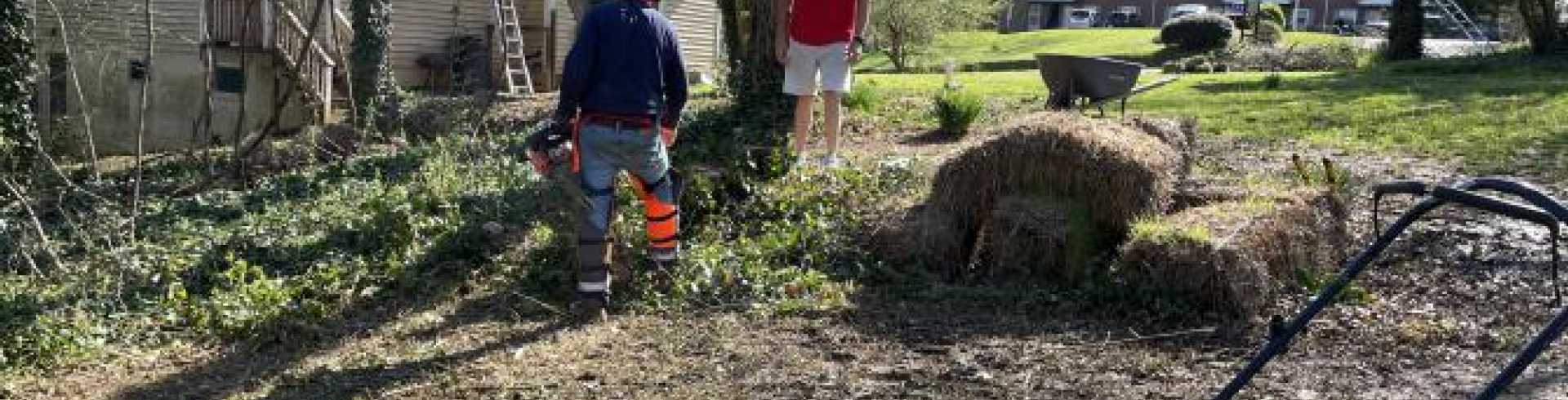 Sunnyside White Swiss Shepherds / Clarksville VA /