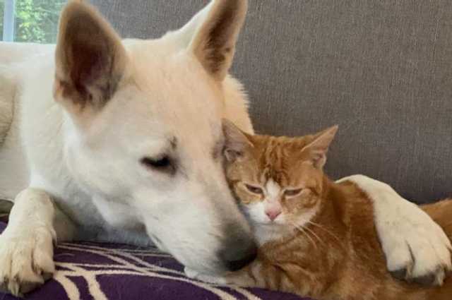 The Sunnyside Sisters Bed and Breakfast / Clarksville VA / June and Jessie BFF