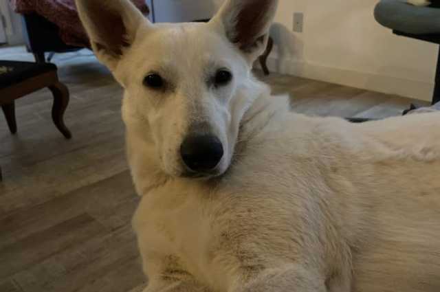 The Sunnyside Sisters Bed and Breakfast / Clarksville VA / Female problems