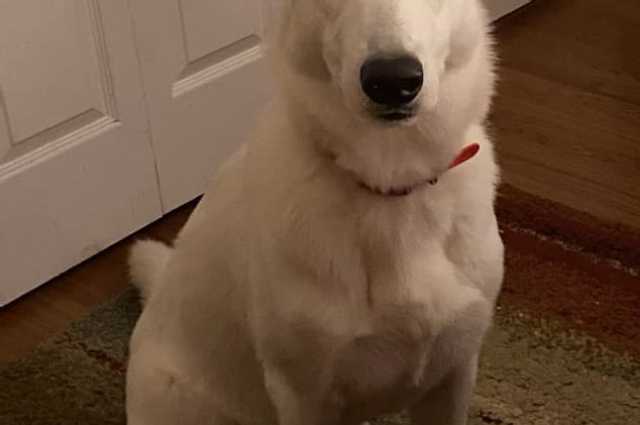 The Sunnyside Sisters Bed and Breakfast / Clarksville VA / Happy New Year y'all!!!