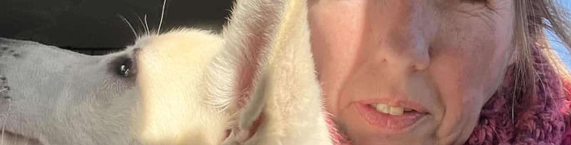 Sunnyside White Swiss Shepherds / Clarksville VA / One year with my 'spitfire'