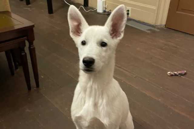 The Sunnyside Sisters Bed and Breakfast / Clarksville VA / Jessie Joy