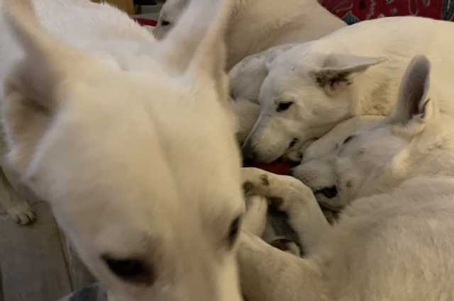 The Sunnyside Sisters Bed and Breakfast / Clarksville VA / Time to 'recoup'