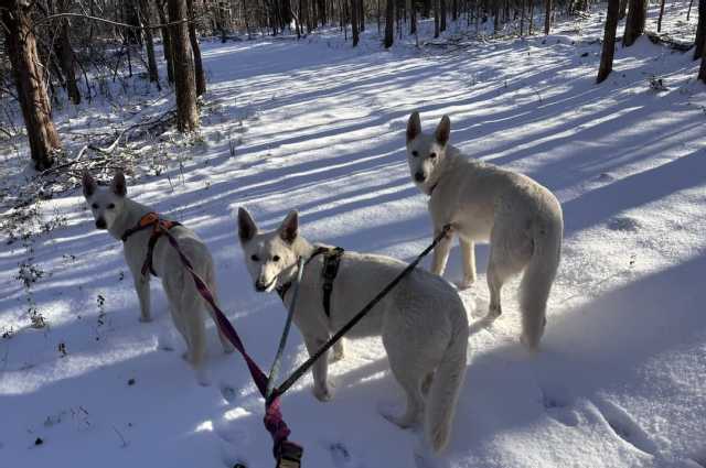The Sunnyside Sisters Bed and Breakfast / Clarksville VA / Winter fun!!!