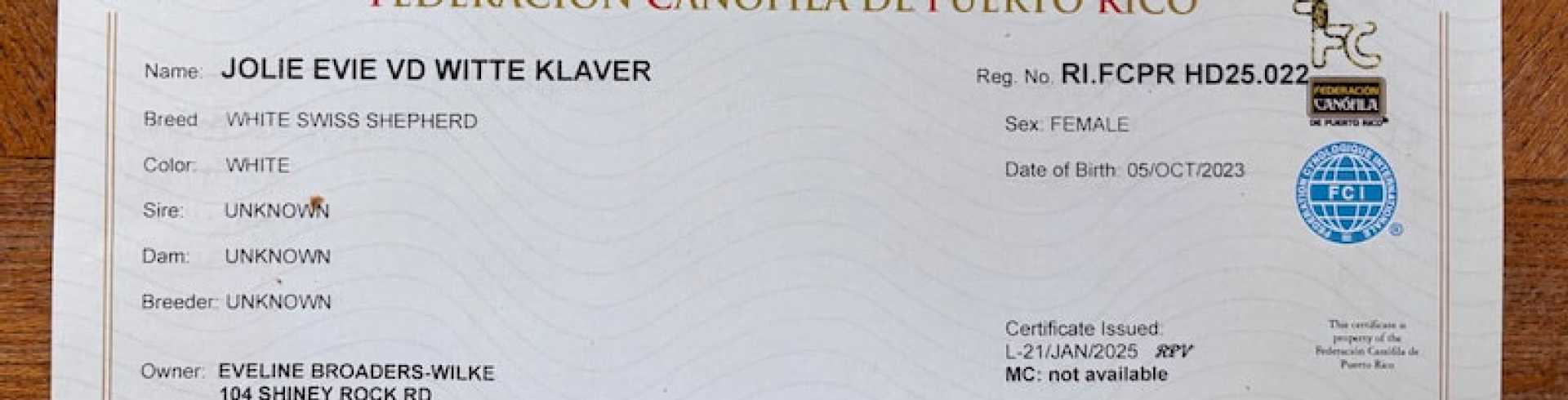 Sunnyside White Swiss Shepherds / Clarksville VA / Evie now also is FCI registered