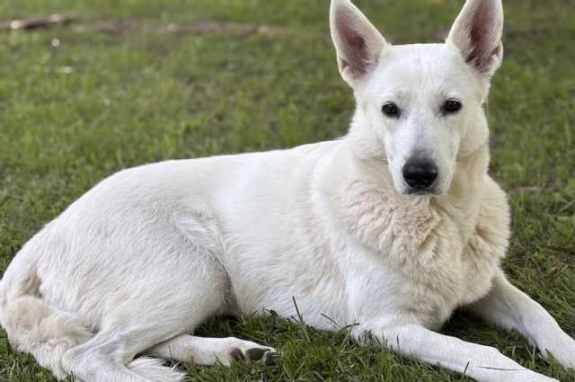 The Sunnyside Sisters Bed and Breakfast / Clarksville VA / Happy B'day Jessie!