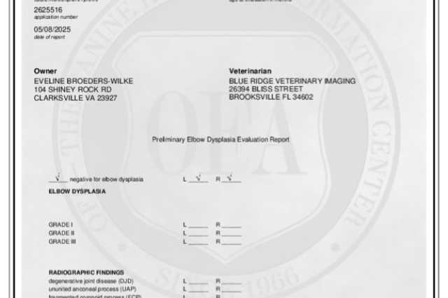 The Sunnyside Sisters Bed and Breakfast / Clarksville VA / Good hips & normal elbows Evie!!!