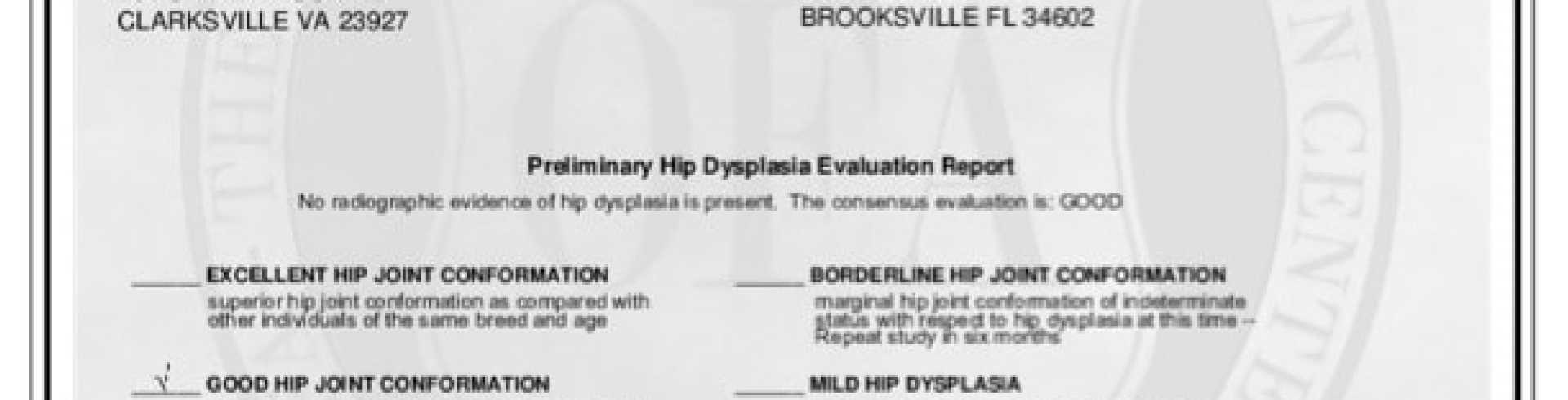 Sunnyside White Swiss Shepherds / Clarksville VA /