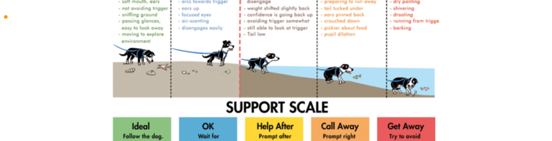 Sunnyside White Swiss Shepherds / Clarksville VA /