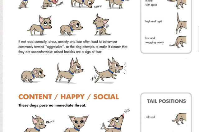 The Sunnyside Sisters Bed and Breakfast / Clarksville VA / Don't just stand there. Do something!!!