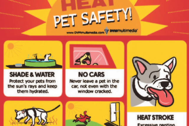 The Sunnyside Sisters Bed and Breakfast / Clarksville VA / Extreme heat (dog) safety