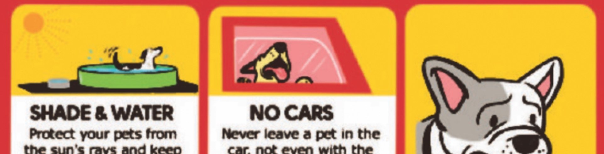 Sunnyside White Swiss Shepherds / Clarksville VA / Extreme heat (dog) safety