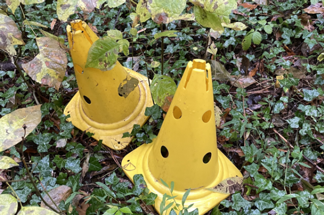 The Sunnyside Sisters Bed and Breakfast / Clarksville VA / Mijne has a tactic