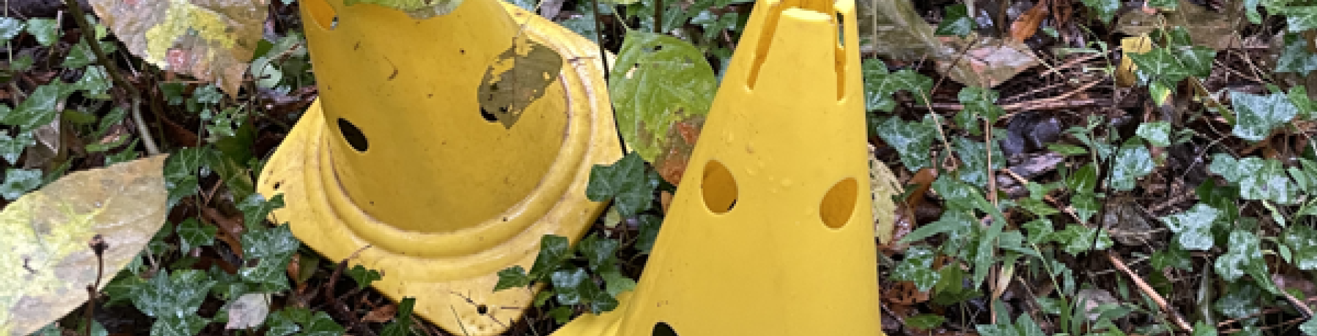 Sunnyside White Swiss Shepherds / Clarksville VA / Mijne has a tactic