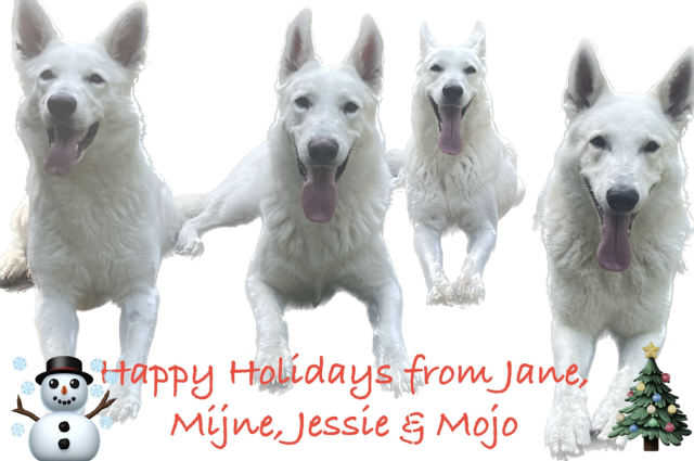 The Sunnyside Sisters Bed and Breakfast / Clarksville VA / Happy Holidays!!!