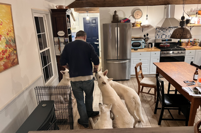 The Sunnyside Sisters Bed and Breakfast / Clarksville VA / Treat time!!!