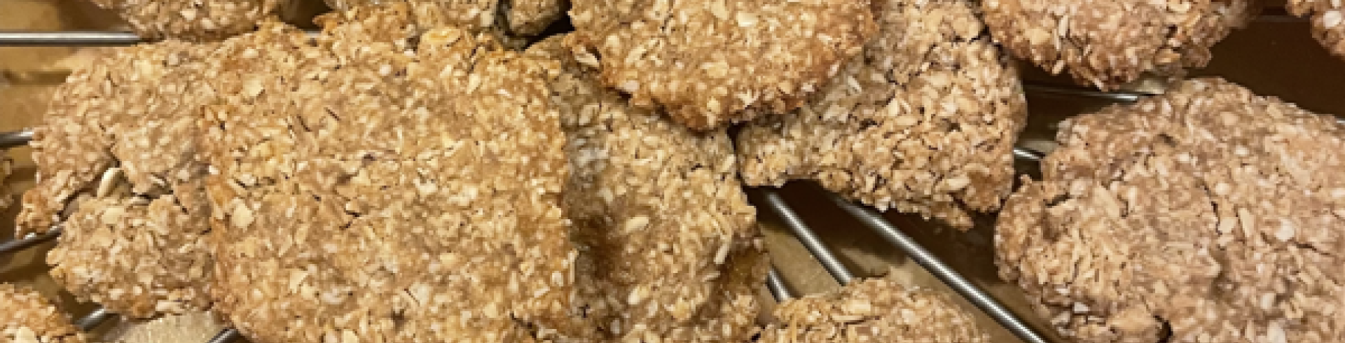 Sunnyside White Swiss Shepherds / Clarksville VA /