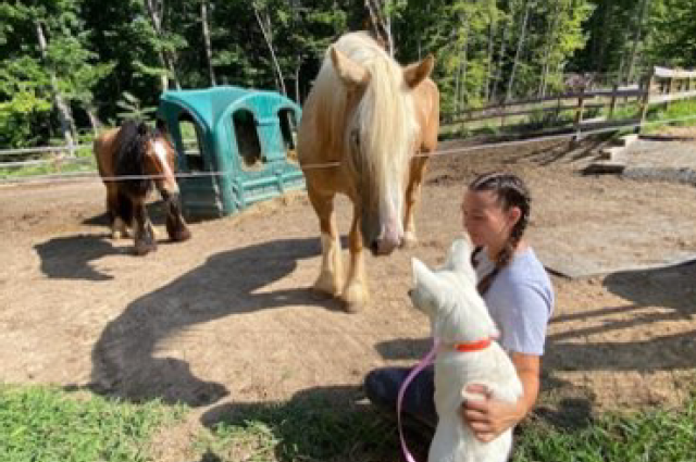 The Sunnyside Sisters Bed and Breakfast / Clarksville VA / Sweet Jane, one year