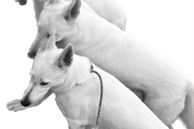 The Sunnyside Sisters Bed and Breakfast / Clarksville VA / Gelukkig Nieuwjaar!!!