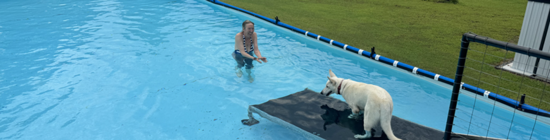 Sunnyside White Swiss Shepherds / Clarksville VA / Splash fun for Evie