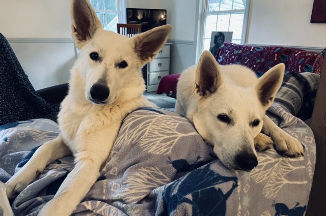 The Sunnyside Sisters Bed and Breakfast / Clarksville VA / Happy Labor Day