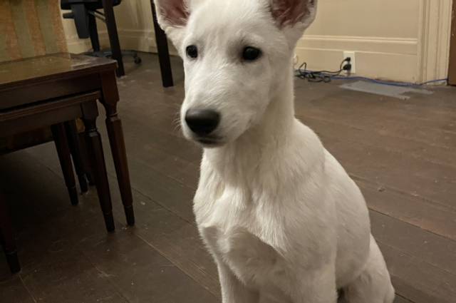 The Sunnyside Sisters Bed and Breakfast / Clarksville VA / Jessie & me: back again