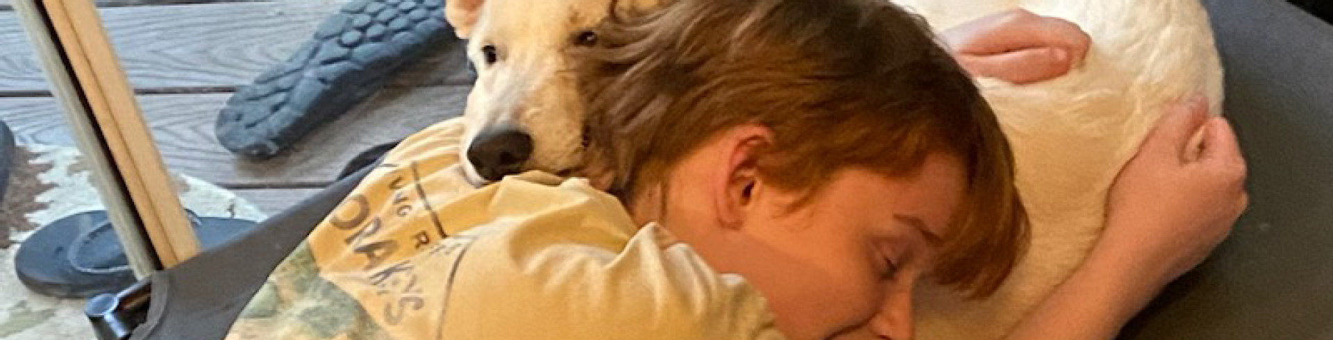 Sunnyside White Swiss Shepherds / Clarksville VA /