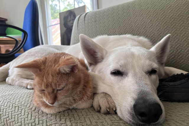 The Sunnyside Sisters Bed and Breakfast / Clarksville VA / Holland 'here I come'!!!