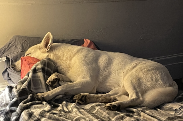 The Sunnyside Sisters Bed and Breakfast / Clarksville VA / Not one but two