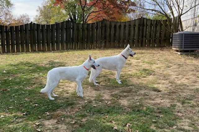 The Sunnyside Sisters Bed and Breakfast / Clarksville VA / Special visit