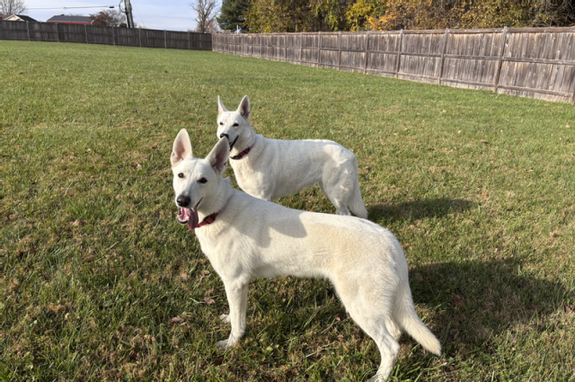 The Sunnyside Sisters Bed and Breakfast / Clarksville VA / Jessie did good