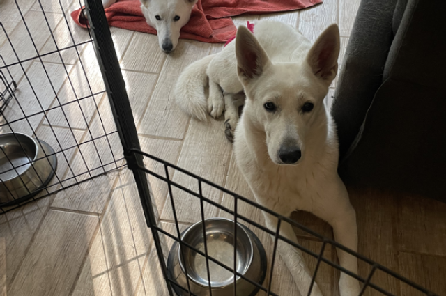 The Sunnyside Sisters Bed and Breakfast / Clarksville VA / All hands on deck!