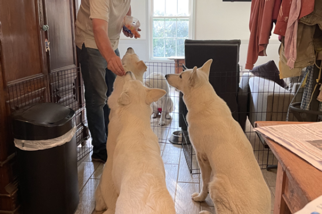 The Sunnyside Sisters Bed and Breakfast / Clarksville VA / Food for thougt