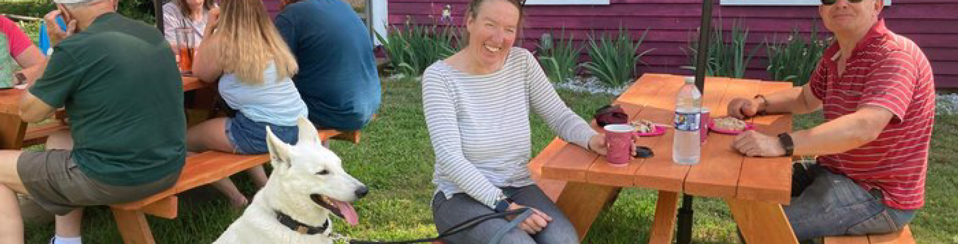 Sunnyside White Swiss Shepherds / Clarksville VA / Over the moon!!!!