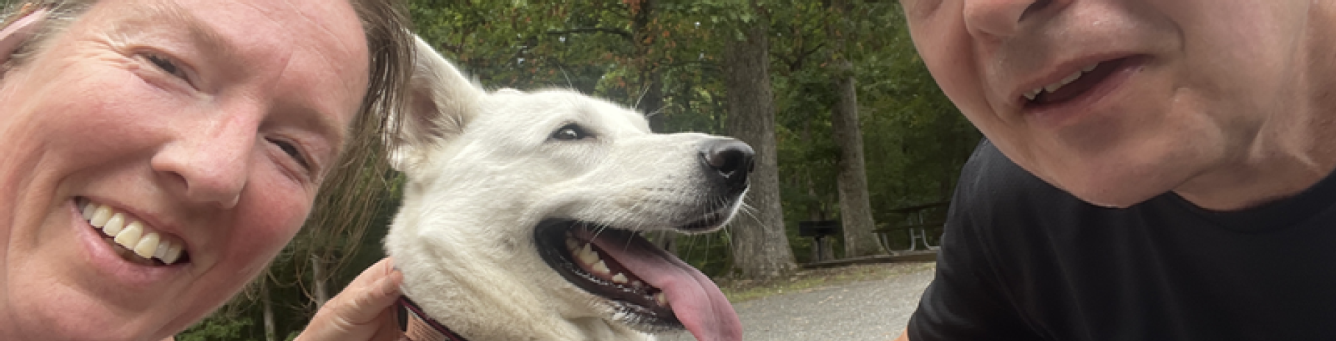 Sunnyside White Swiss Shepherds / Clarksville VA /