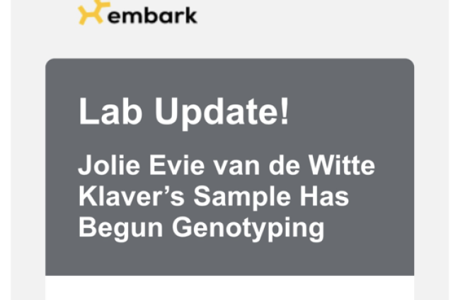 The Sunnyside Sisters Bed and Breakfast / Clarksville VA / First step health testing...DNA with Embark