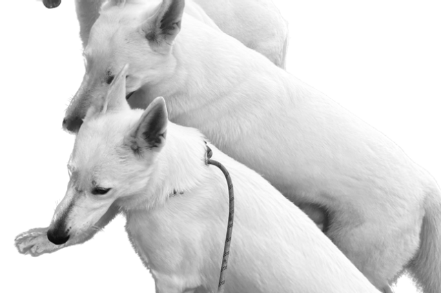 The Sunnyside Sisters Bed and Breakfast / Clarksville VA / Nothing is for free in life (NIFIL)