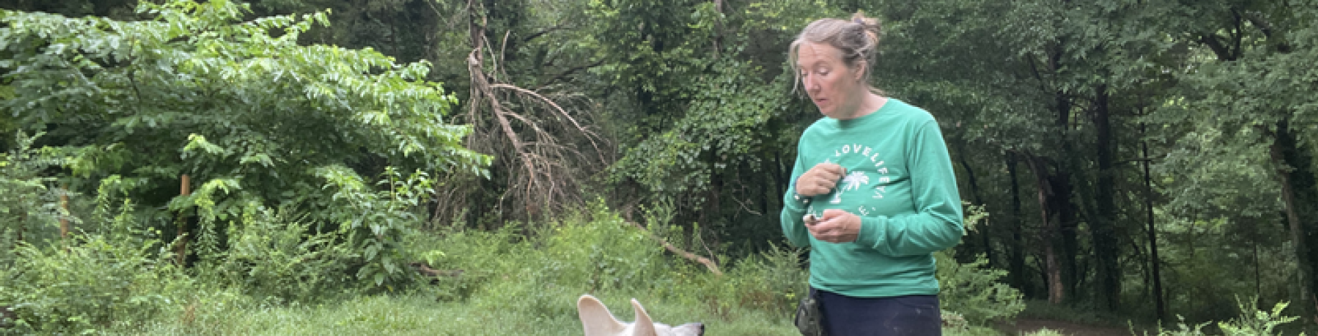 Sunnyside White Swiss Shepherds / Clarksville VA /