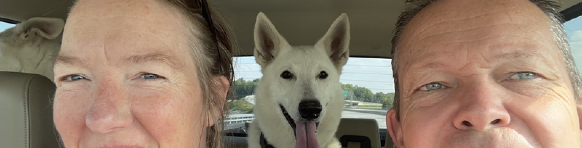 Sunnyside White Swiss Shepherds / Clarksville VA /