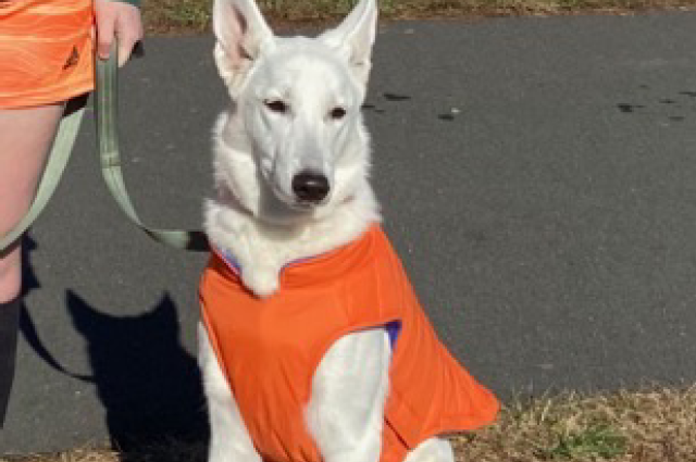 The Sunnyside Sisters Bed and Breakfast / Clarksville VA / Fall on Sunnyside