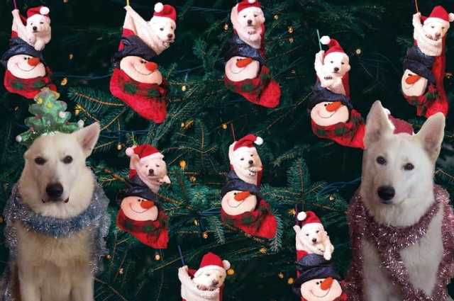 The Sunnyside Sisters Bed and Breakfast / Clarksville VA / Christmas for everyone?