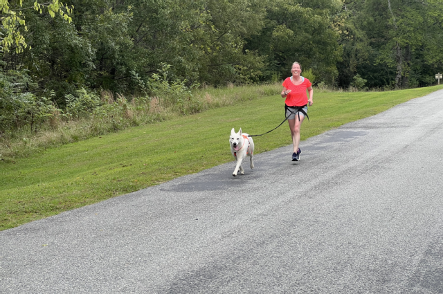 The Sunnyside Sisters Bed and Breakfast / Clarksville VA / Running with dogs