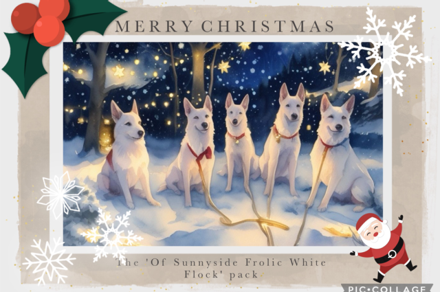 The Sunnyside Sisters Bed and Breakfast / Clarksville VA / And now we have to wait…