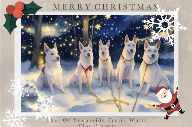 The Sunnyside Sisters Bed and Breakfast / Clarksville VA / Merry Christmas y'all