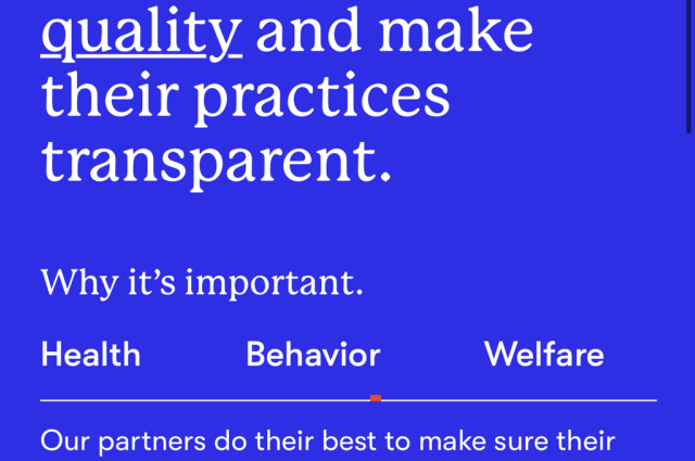 The Sunnyside Sisters Bed and Breakfast / Clarksville VA / Goodbye (not so) Good Dog