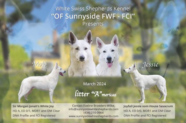 The Sunnyside Sisters Bed and Breakfast / Clarksville VA / It takes two to Tango...