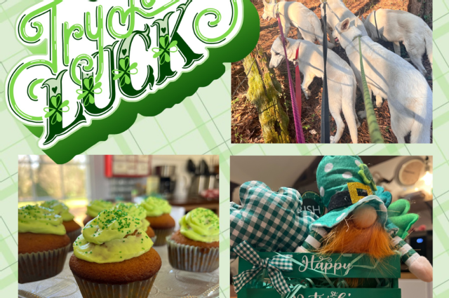 The Sunnyside Sisters Bed and Breakfast / Clarksville VA / Not on St Patty's Day