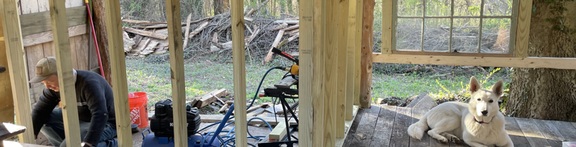 Sunnyside White Swiss Shepherds / Clarksville VA / Waiting…