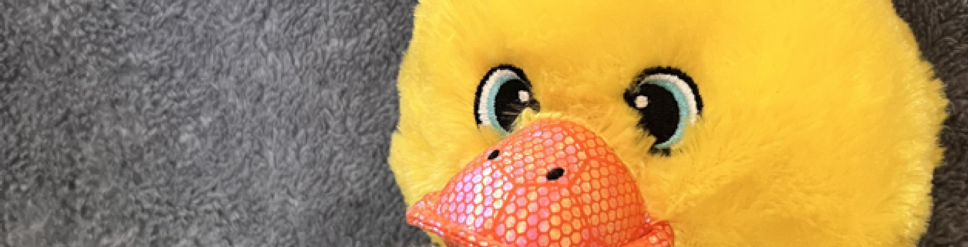 Sunnyside White Swiss Shepherds / Clarksville VA /