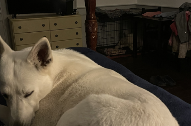 The Sunnyside Sisters Bed and Breakfast / Clarksville VA / And again we move to the B&B